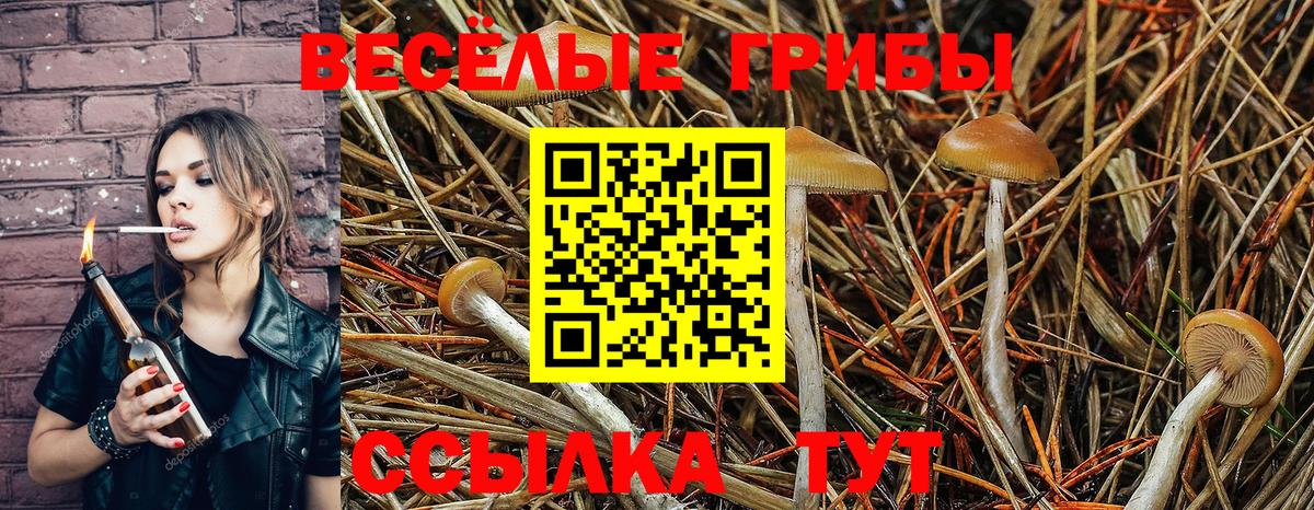 Галлюциногенные грибы прущие грибы  Галлюциногенные грибы Cubensis  Лабинск  Вход с VPN 